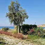 Beachfront Villa