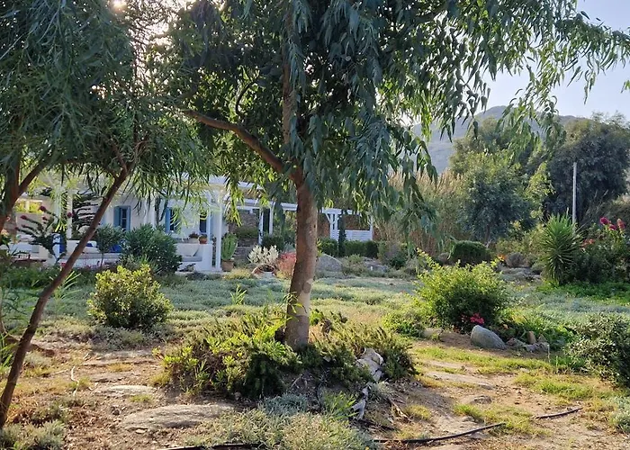 Villa Beachfront Ios